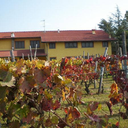 Cascina La Maddalena Bed & Wine Villa Rocca Grimalda Luaran gambar