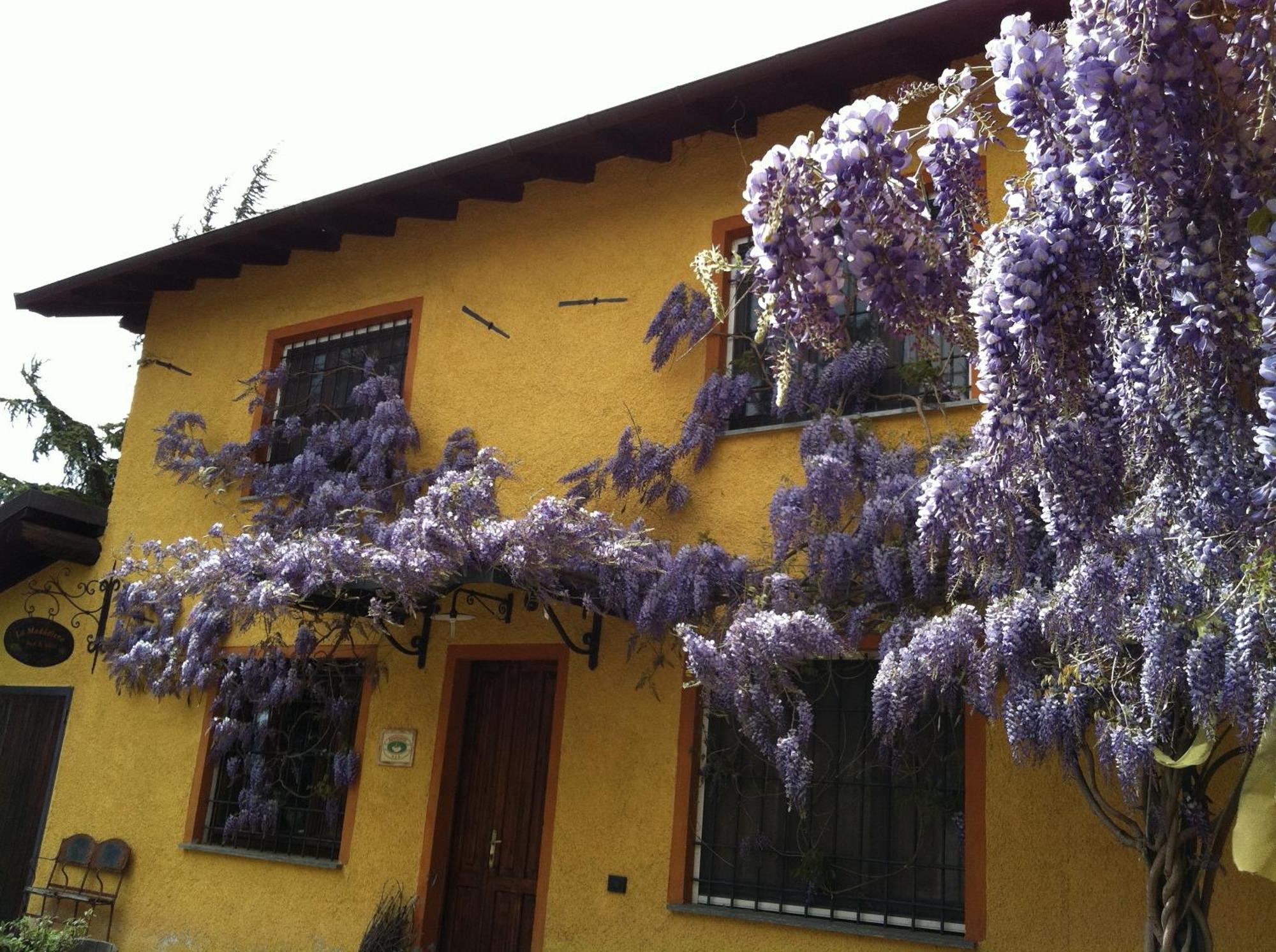 Cascina La Maddalena Bed & Wine Villa Rocca Grimalda Luaran gambar