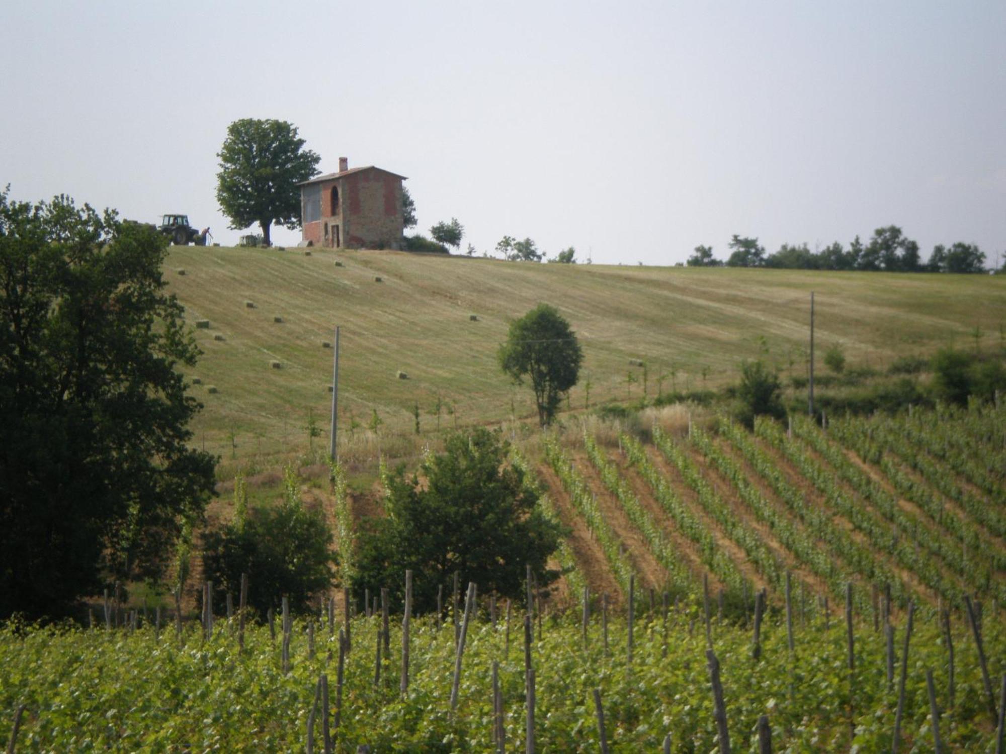 Cascina La Maddalena Bed & Wine Villa Rocca Grimalda Luaran gambar