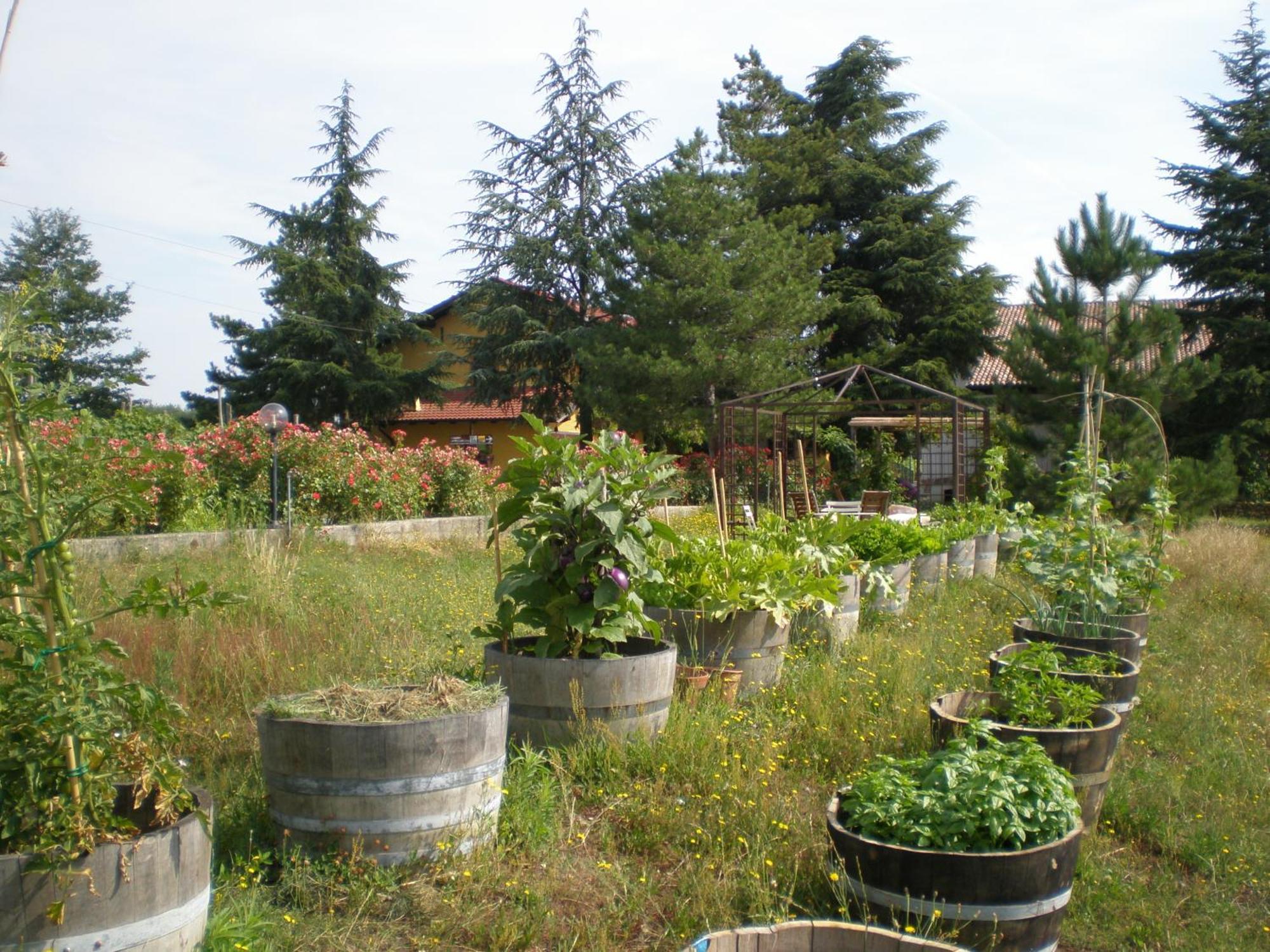 Cascina La Maddalena Bed & Wine Villa Rocca Grimalda Luaran gambar